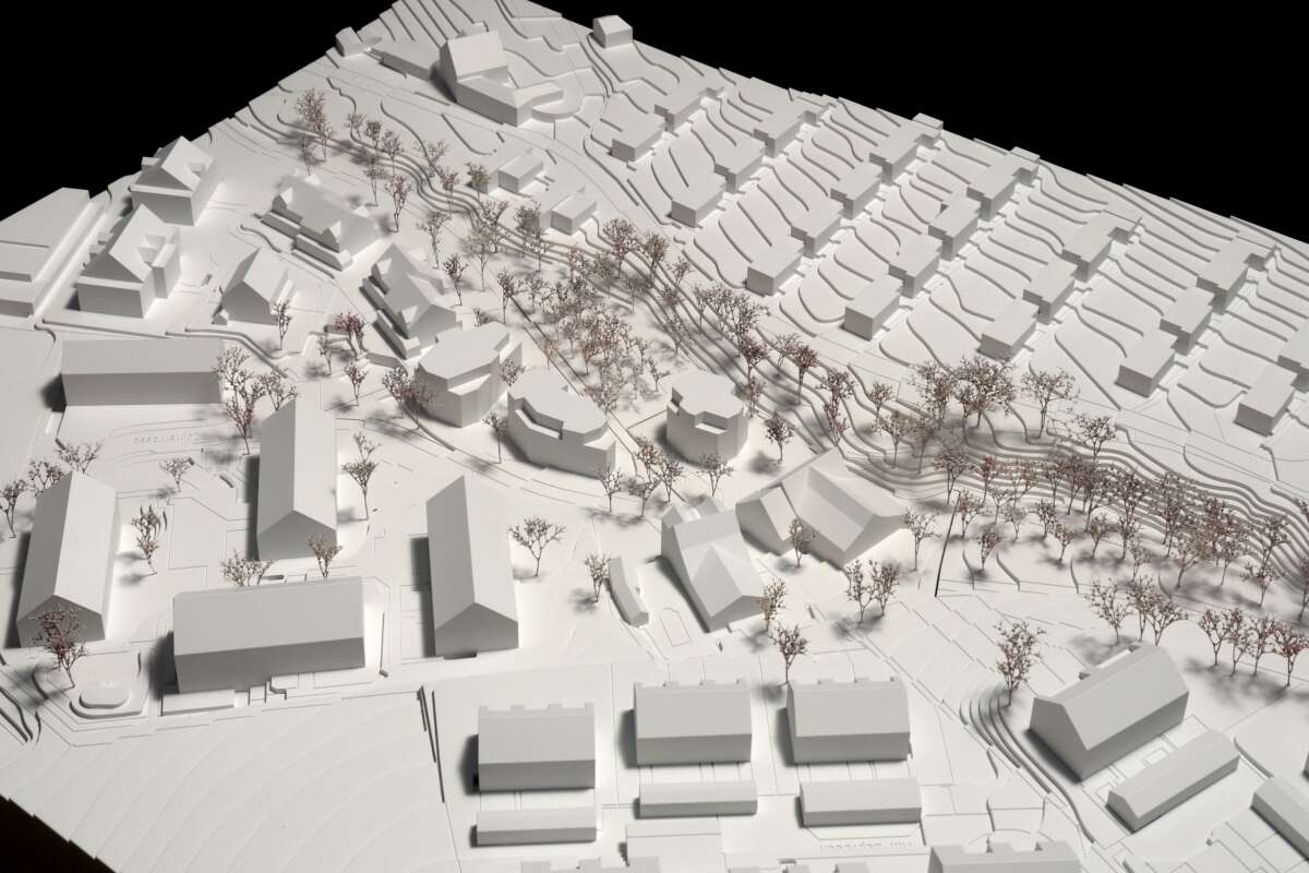 Neubauten und Umbau Scheune Zopfweg, Wädenswil Au